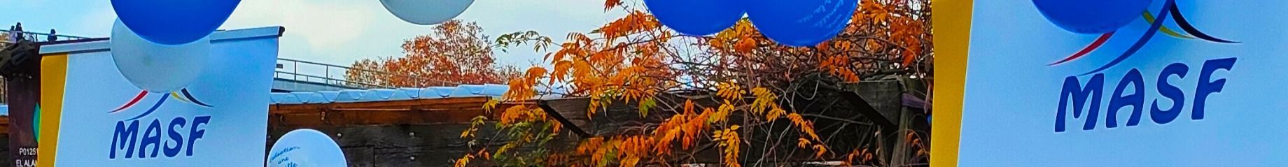 cropped image 231ef3ec959f49338569ececa4b862cf